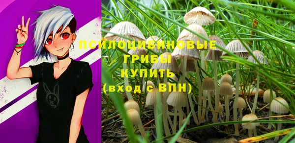 дурь Кинешма