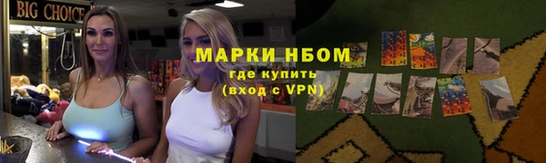 шишки Корсаков