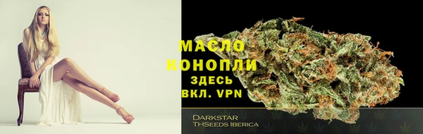молекула духа Козельск