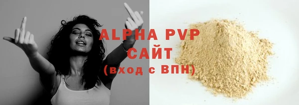 шишки Корсаков