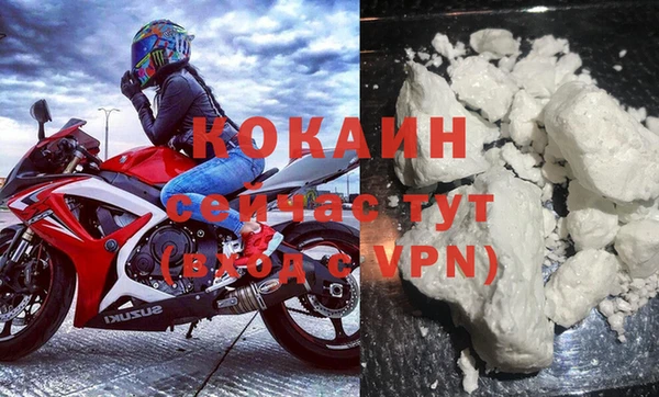 молекула духа Козельск