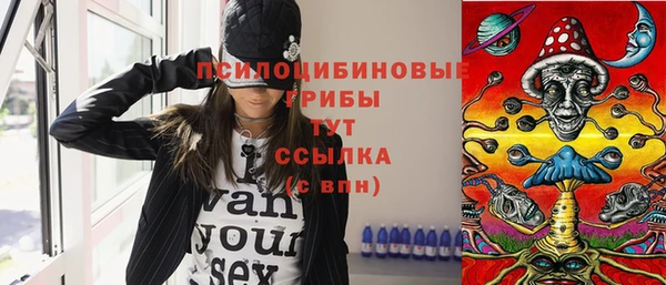 молекула духа Козельск