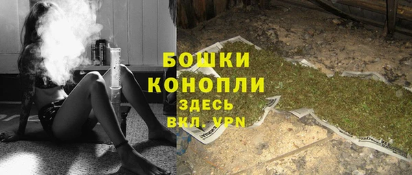 молекула духа Козельск