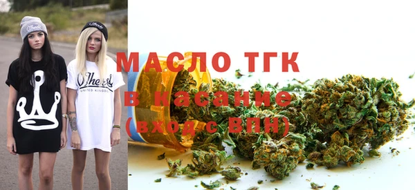 молекула духа Козельск