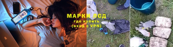 молекула духа Козельск